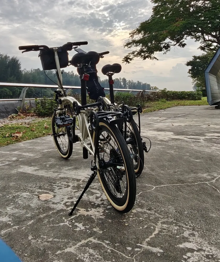 Two champagne Leggero A9 Premium trifolds on a coastal park path at dawn